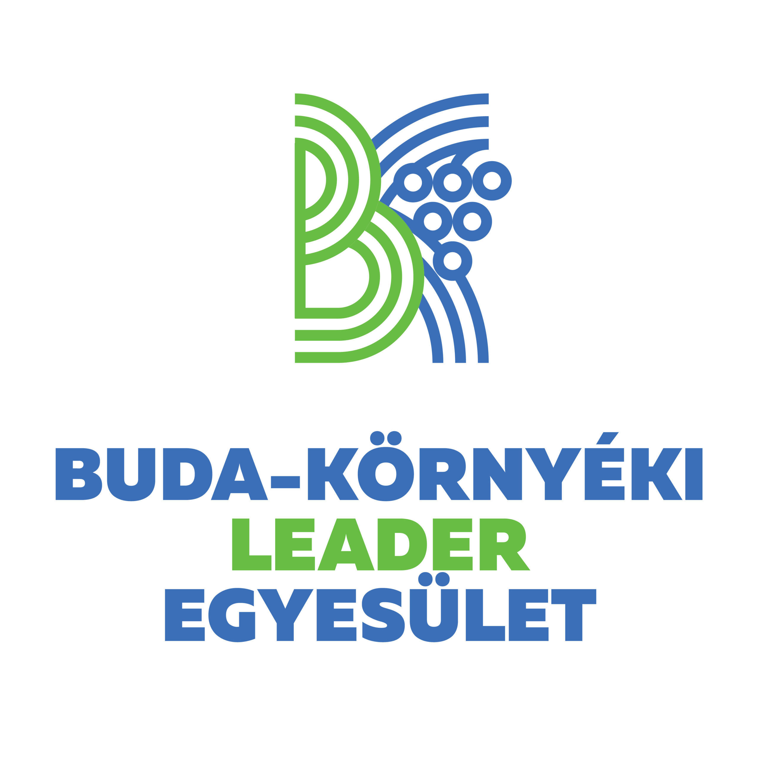 2024 BKLeader logo 2 scaled